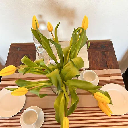 Dünenblick Apartment Westerland